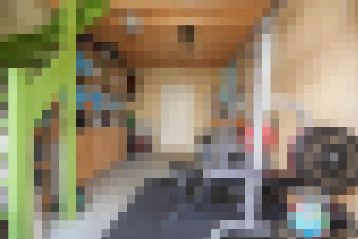 Oranjestraat 73 Beusichem thumbnail 33