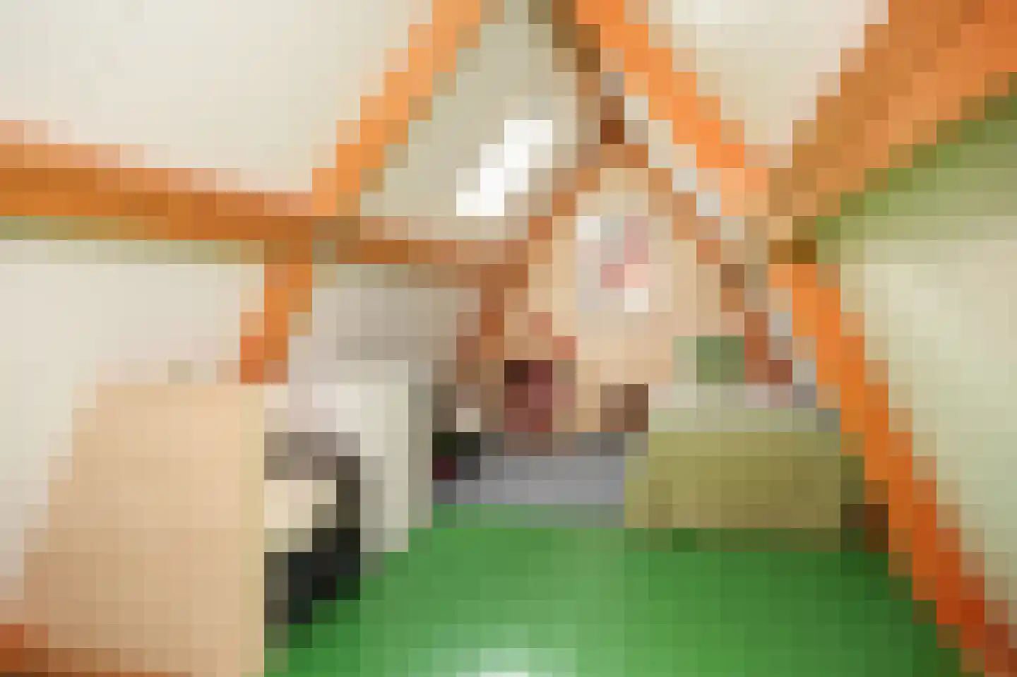 Oranjestraat 73 Beusichem thumbnail 35