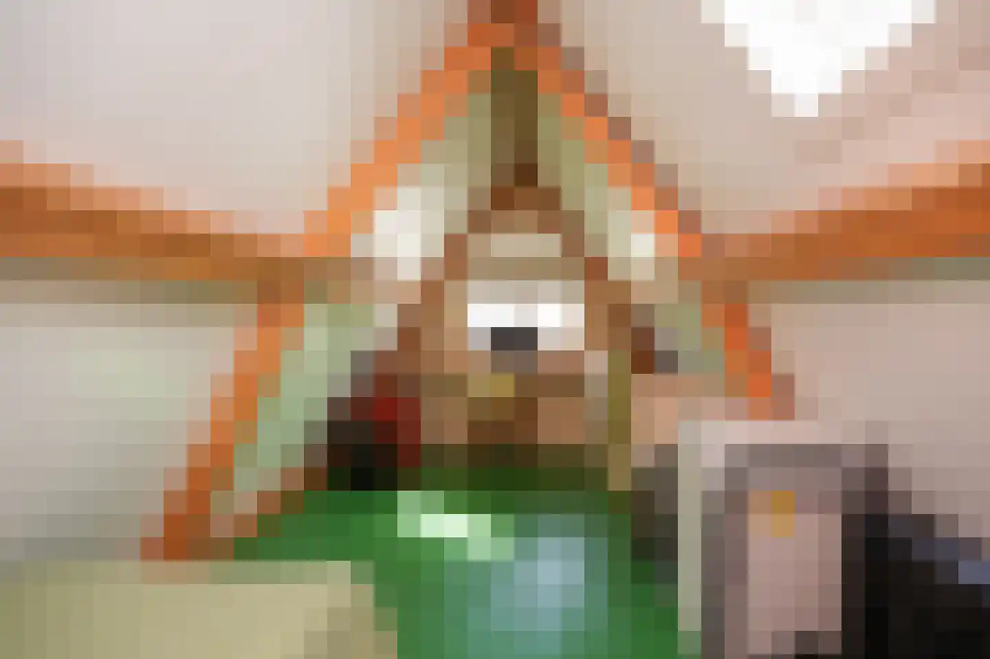 Oranjestraat 73 Beusichem thumbnail 36