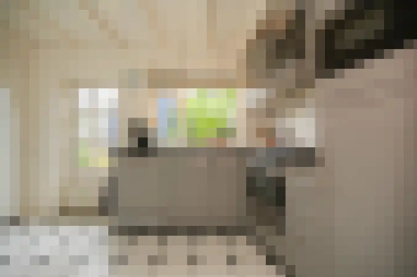 Oranjestraat 73 Beusichem thumbnail 4