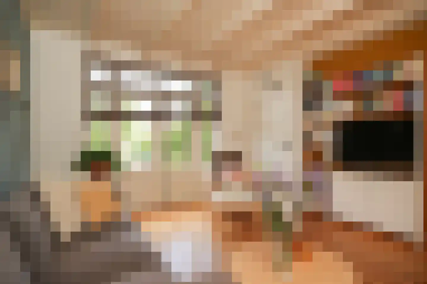 Oranjestraat 73 Beusichem thumbnail 6