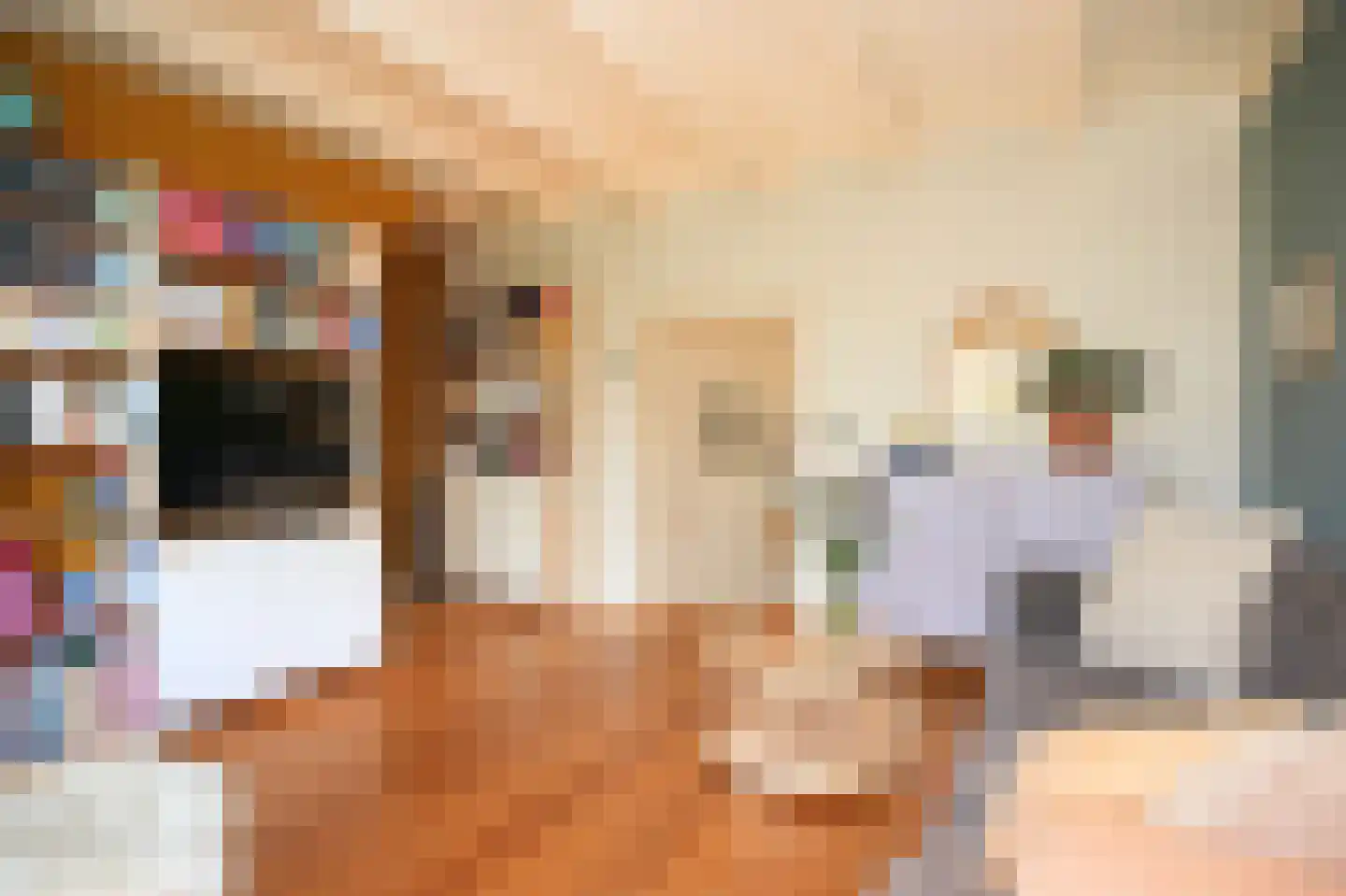Oranjestraat 73 Beusichem thumbnail 8