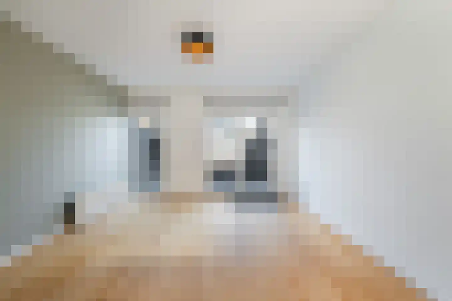 Oranjestraat 74 Alphen aan den Rijn thumbnail 14