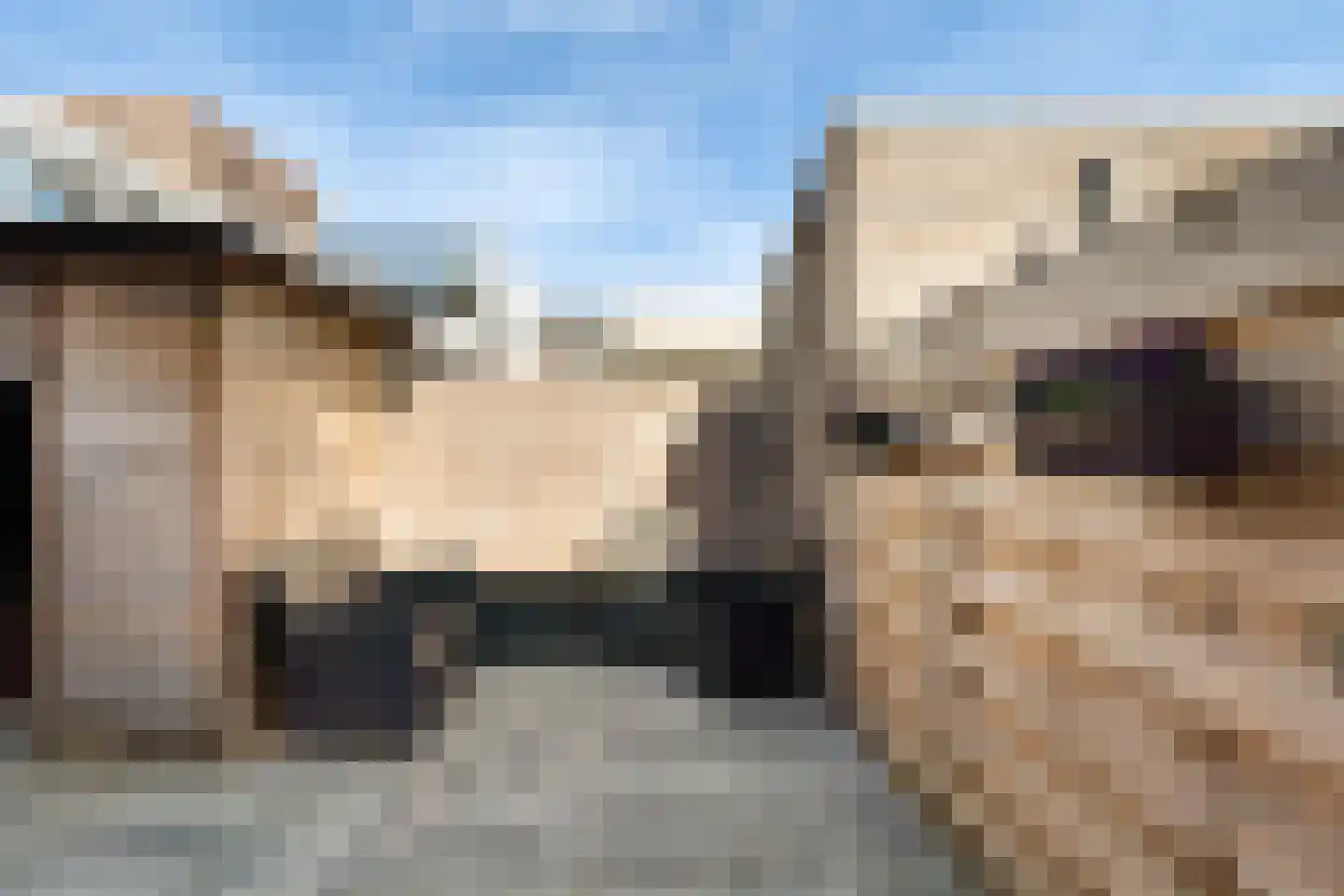 Oranjestraat 74 Alphen aan den Rijn thumbnail 26