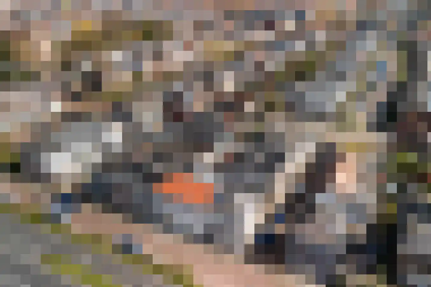 Oranjestraat 74 Alphen aan den Rijn thumbnail 5