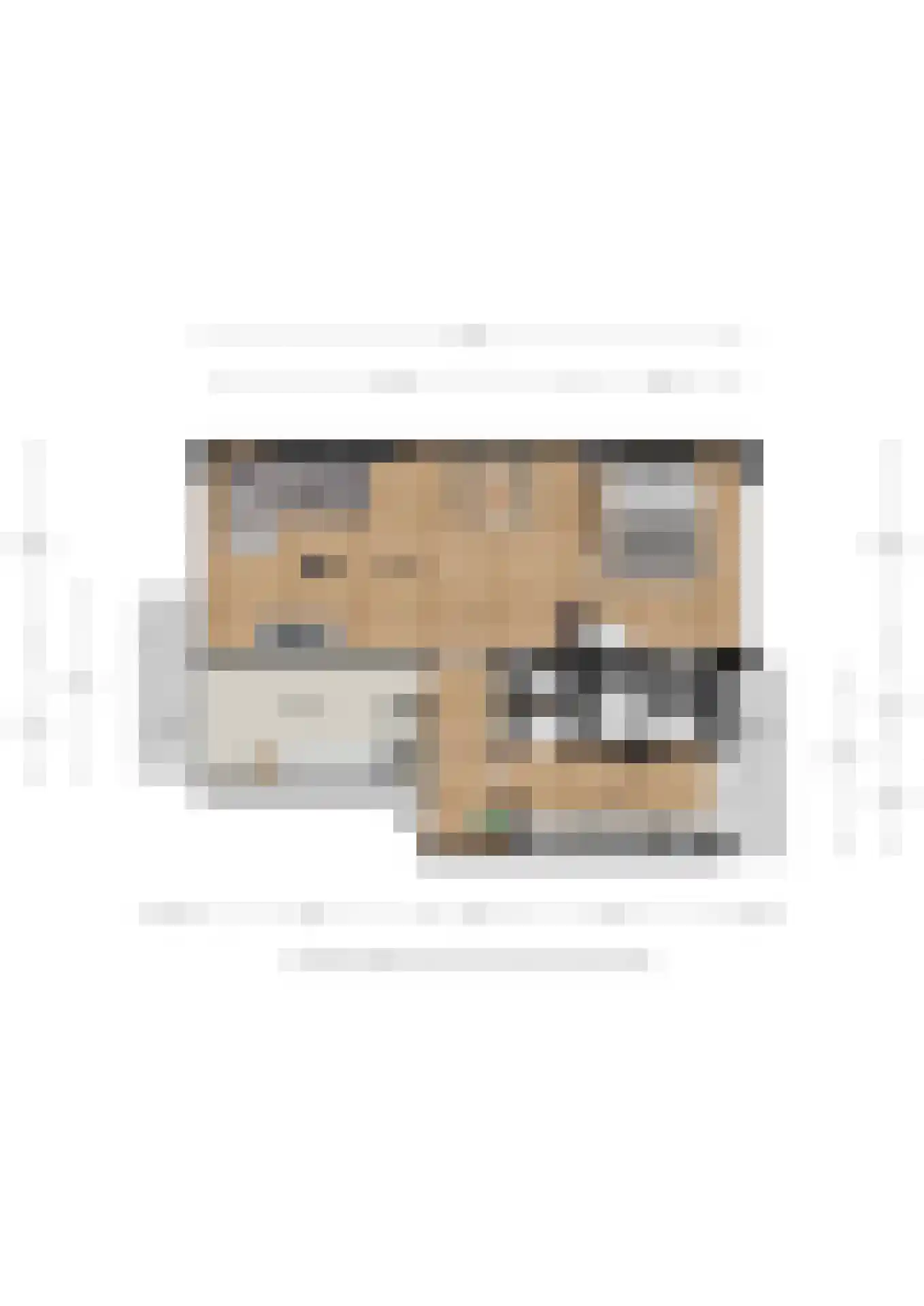Oranjestraat 74 Ochten thumbnail 40