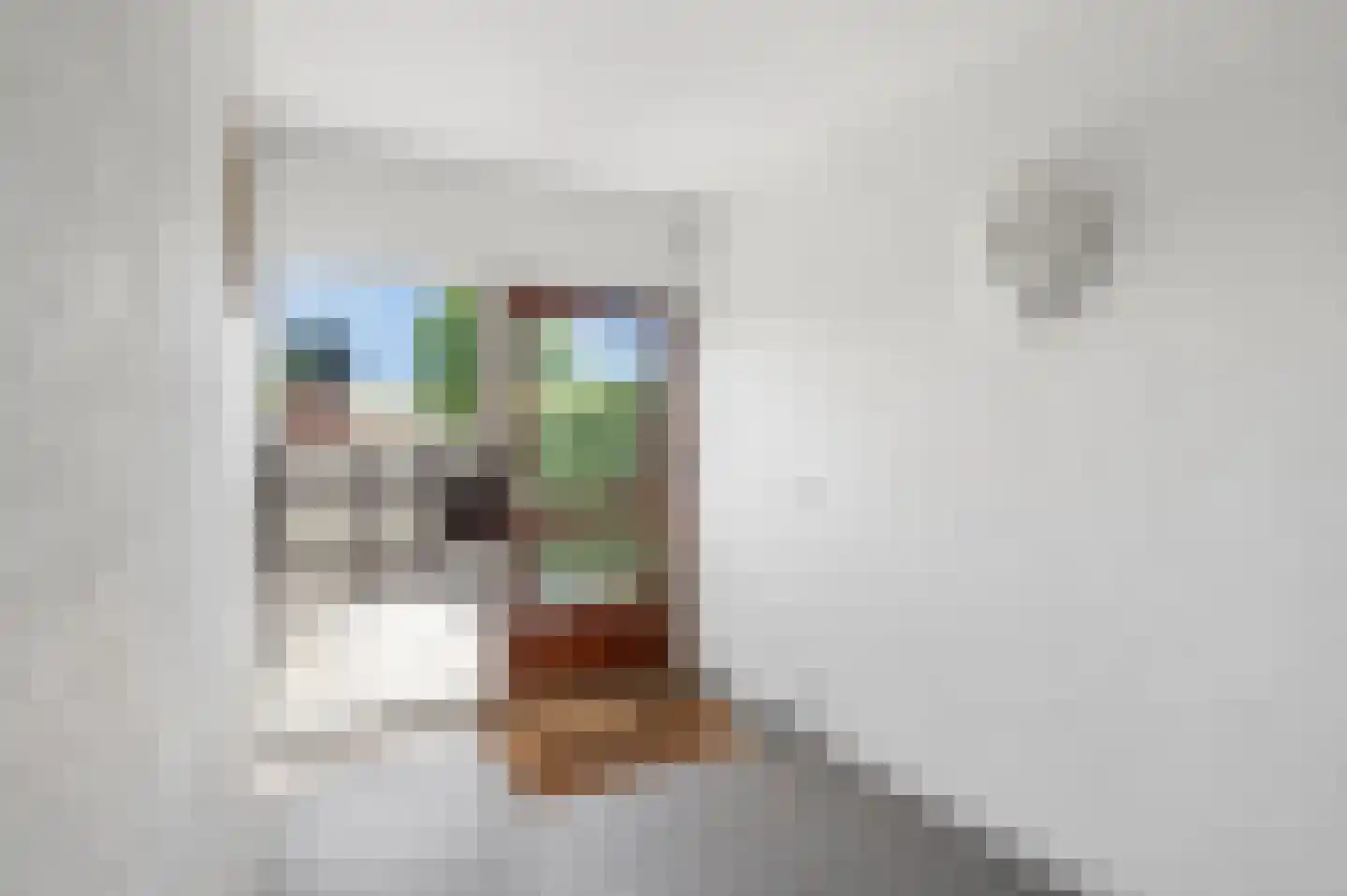 Oranjestraat 74 Ochten thumbnail 6