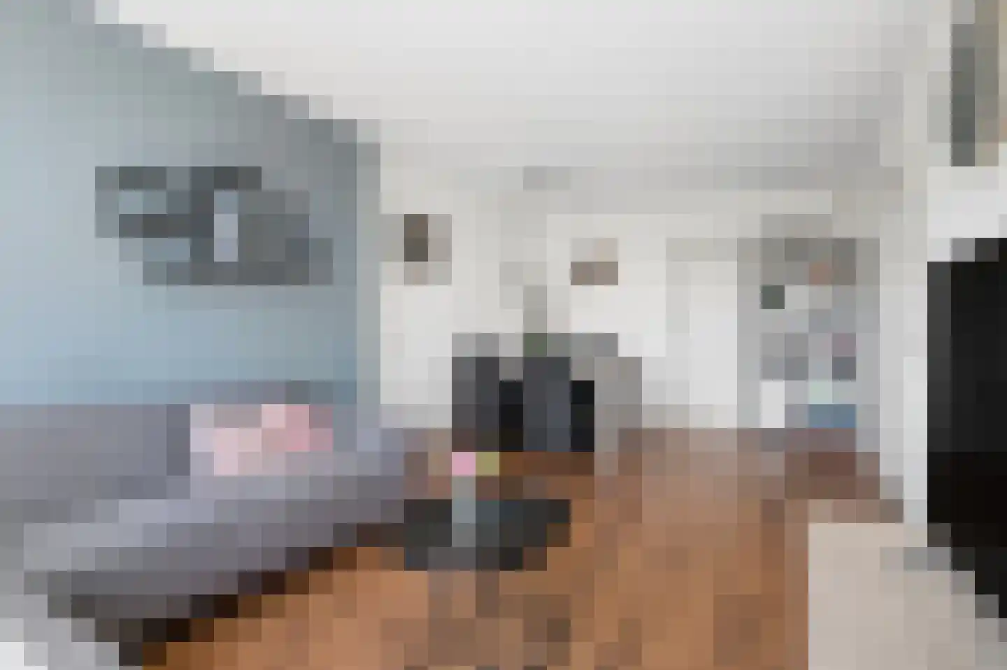 Oranjestraat 74 Ochten thumbnail 8