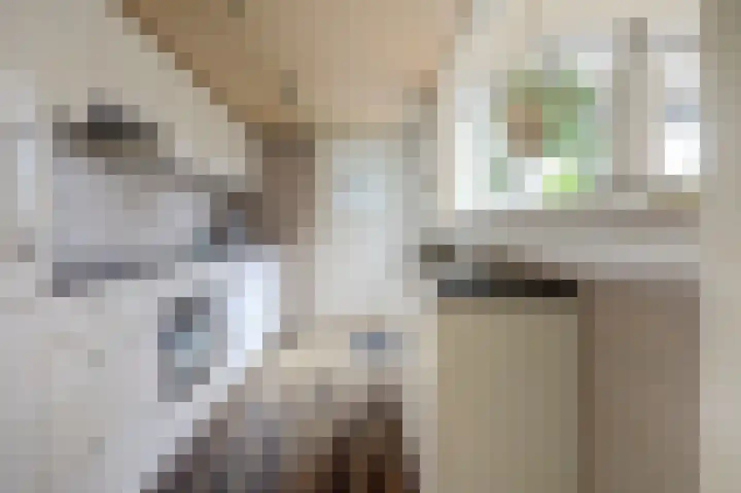 Oranjestraat 75 Ridderkerk thumbnail 16