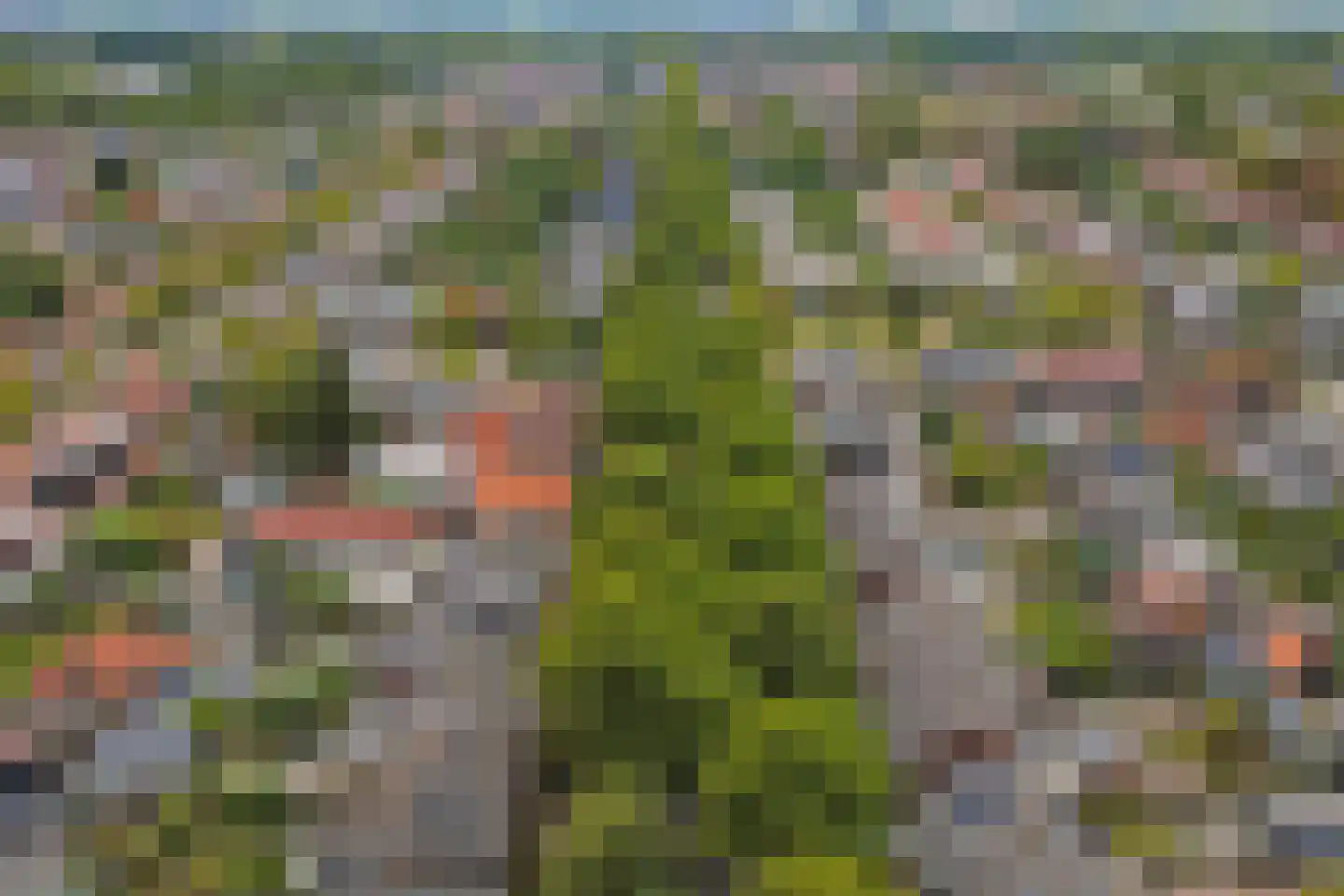 Oranjestraat 75 Ridderkerk thumbnail 43