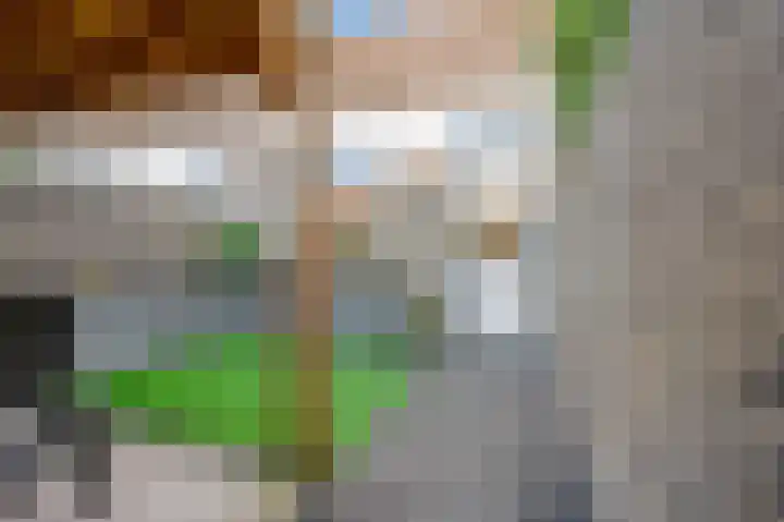 Oranjestraat 78 Elst Ut thumbnail 27