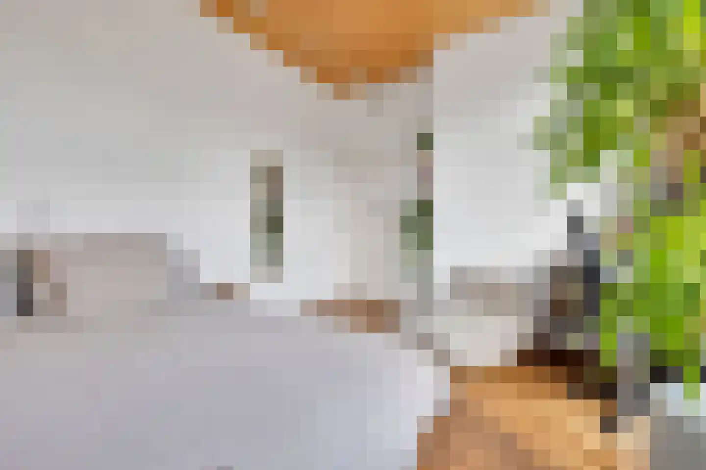 Oranjestraat 8 Alphen aan den Rijn thumbnail 16