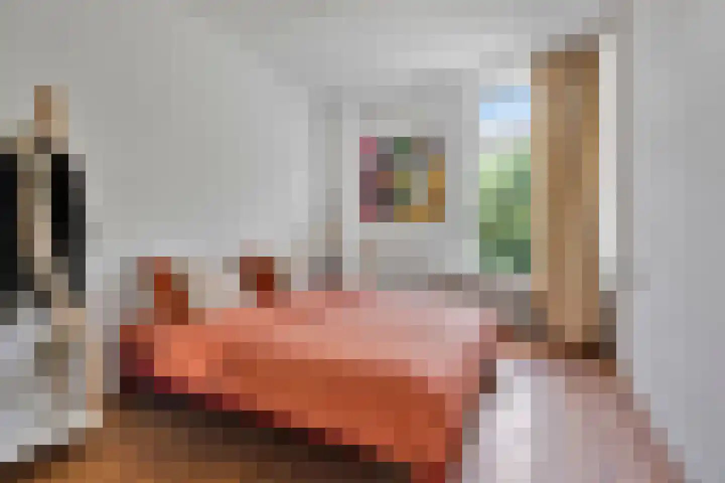 Oranjestraat 8 Alphen aan den Rijn thumbnail 17