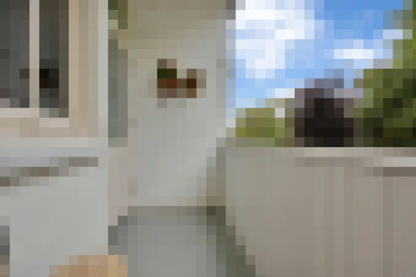 Oranjestraat 8 Alphen aan den Rijn thumbnail 22