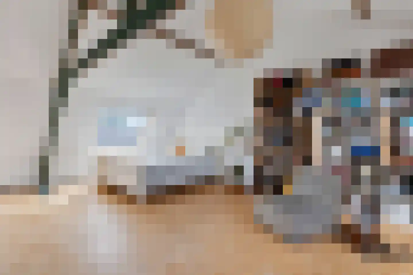 Oranjestraat 8 Alphen aan den Rijn thumbnail 29