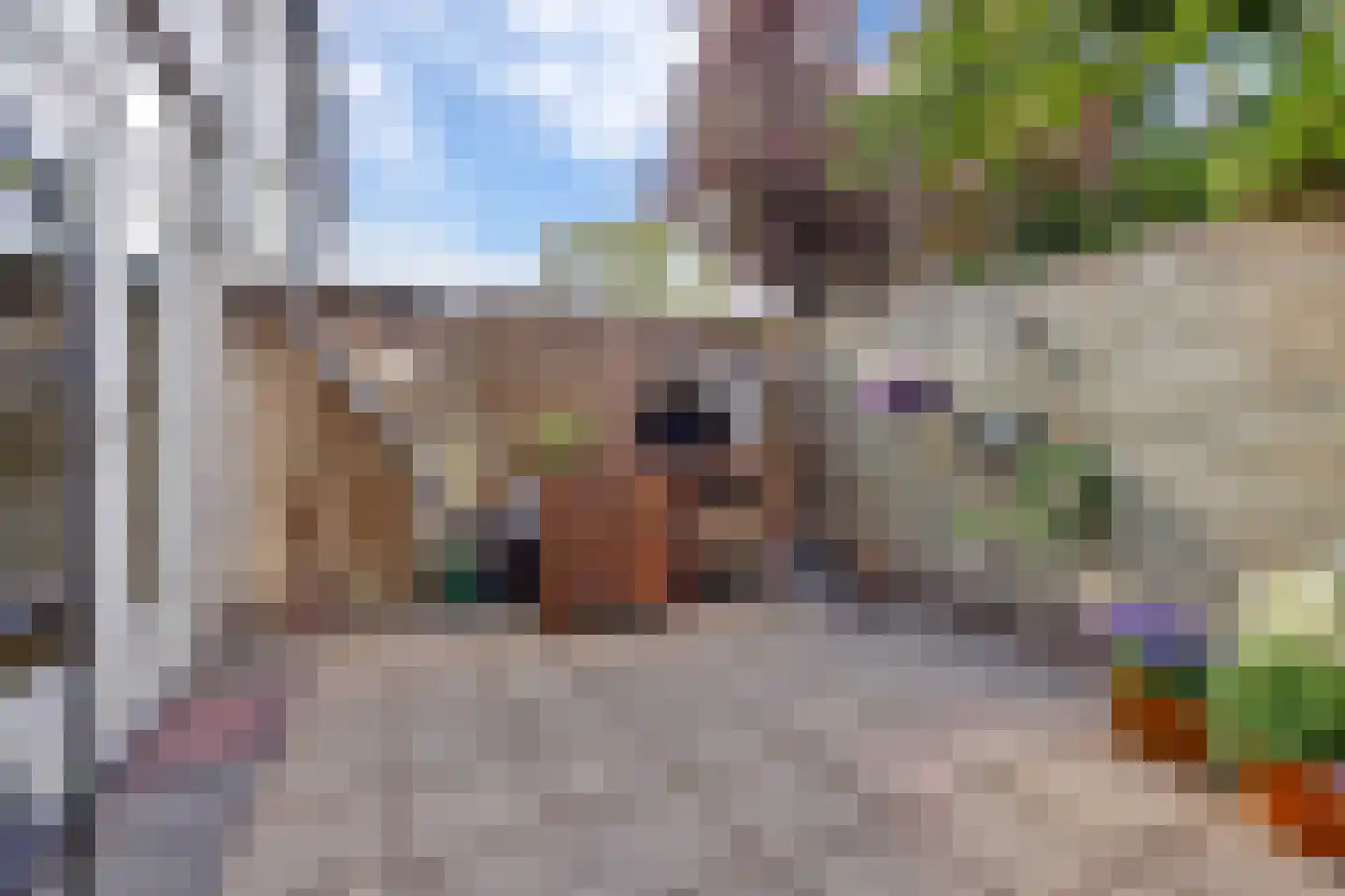 Oranjestraat 8 Alphen aan den Rijn thumbnail 32