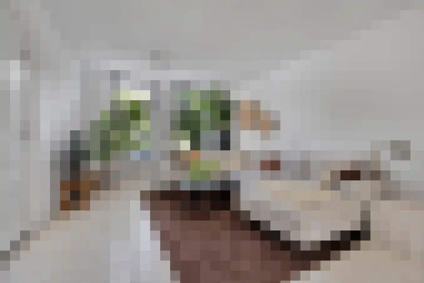 Oranjestraat 8 Alphen aan den Rijn thumbnail 4