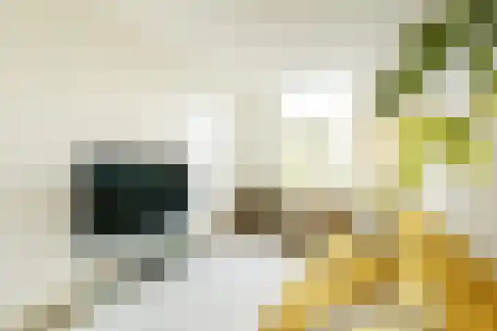 Oranjestraat 8 Delft thumbnail 7
