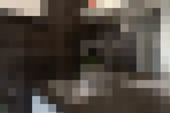Oranjestraat 8 Everdingen thumbnail 23