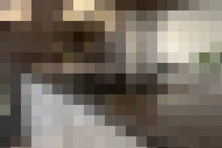 Oranjestraat 8 Everdingen thumbnail 24