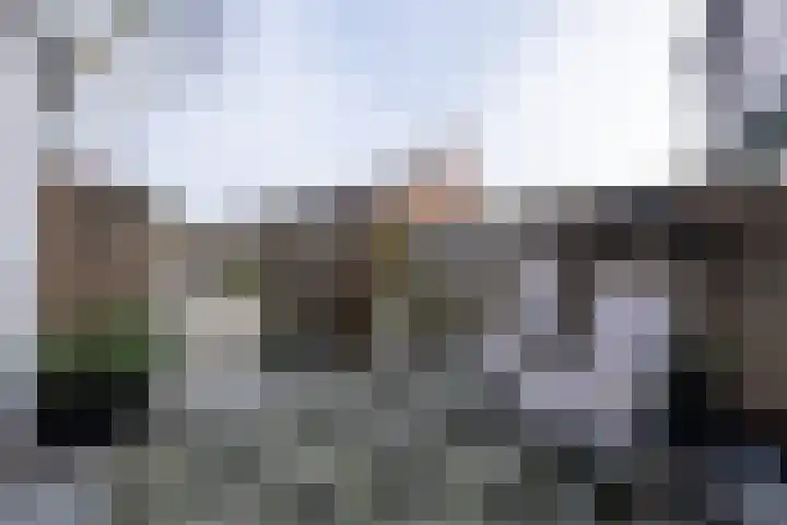 Oranjestraat 8 Everdingen thumbnail 32
