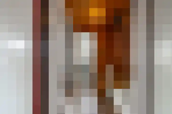 Oranjestraat 8 Everdingen thumbnail 33