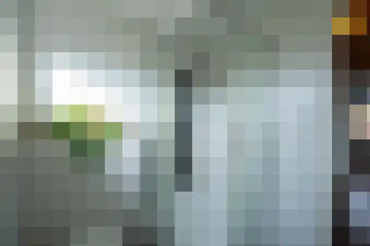 Oranjestraat 8 Everdingen thumbnail 35