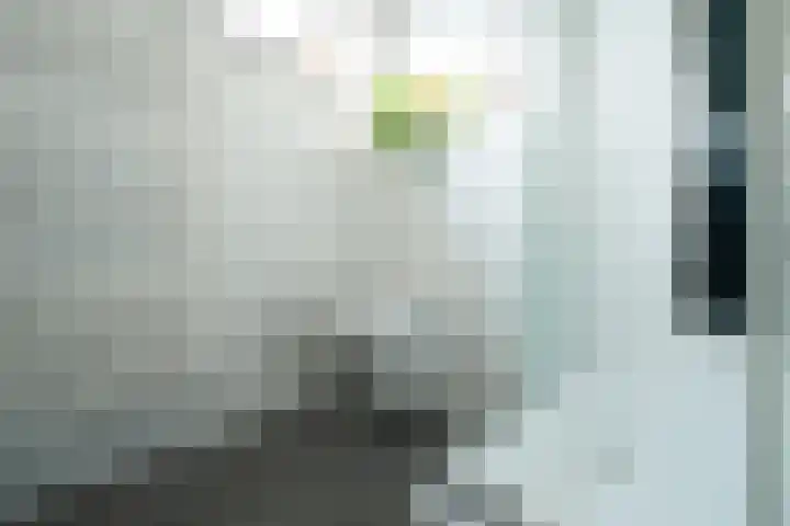 Oranjestraat 8 Everdingen thumbnail 38