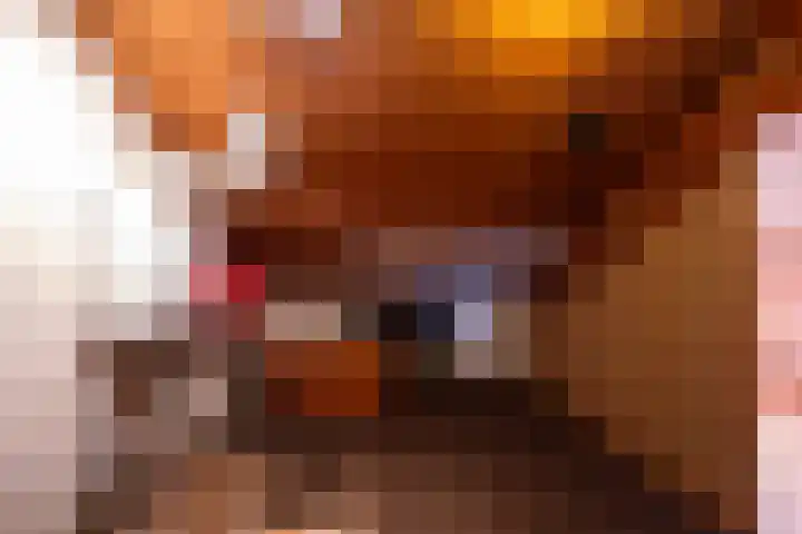 Oranjestraat 8 Everdingen thumbnail 49
