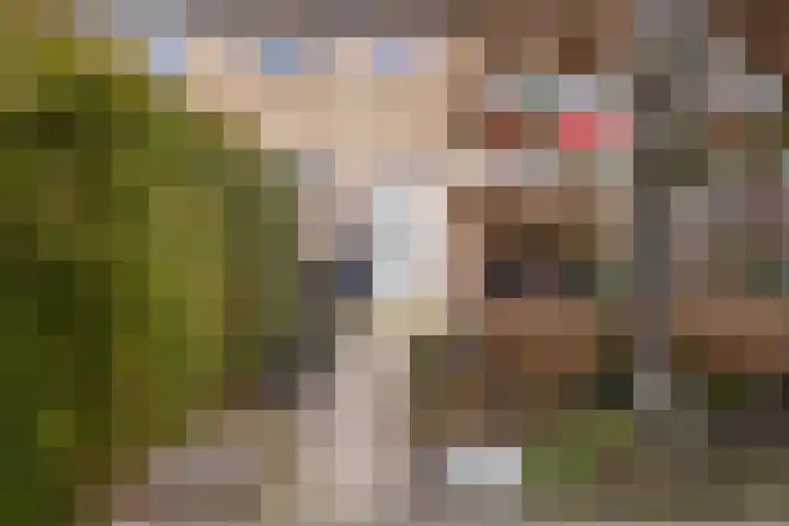 Oranjestraat 8 Everdingen thumbnail 6