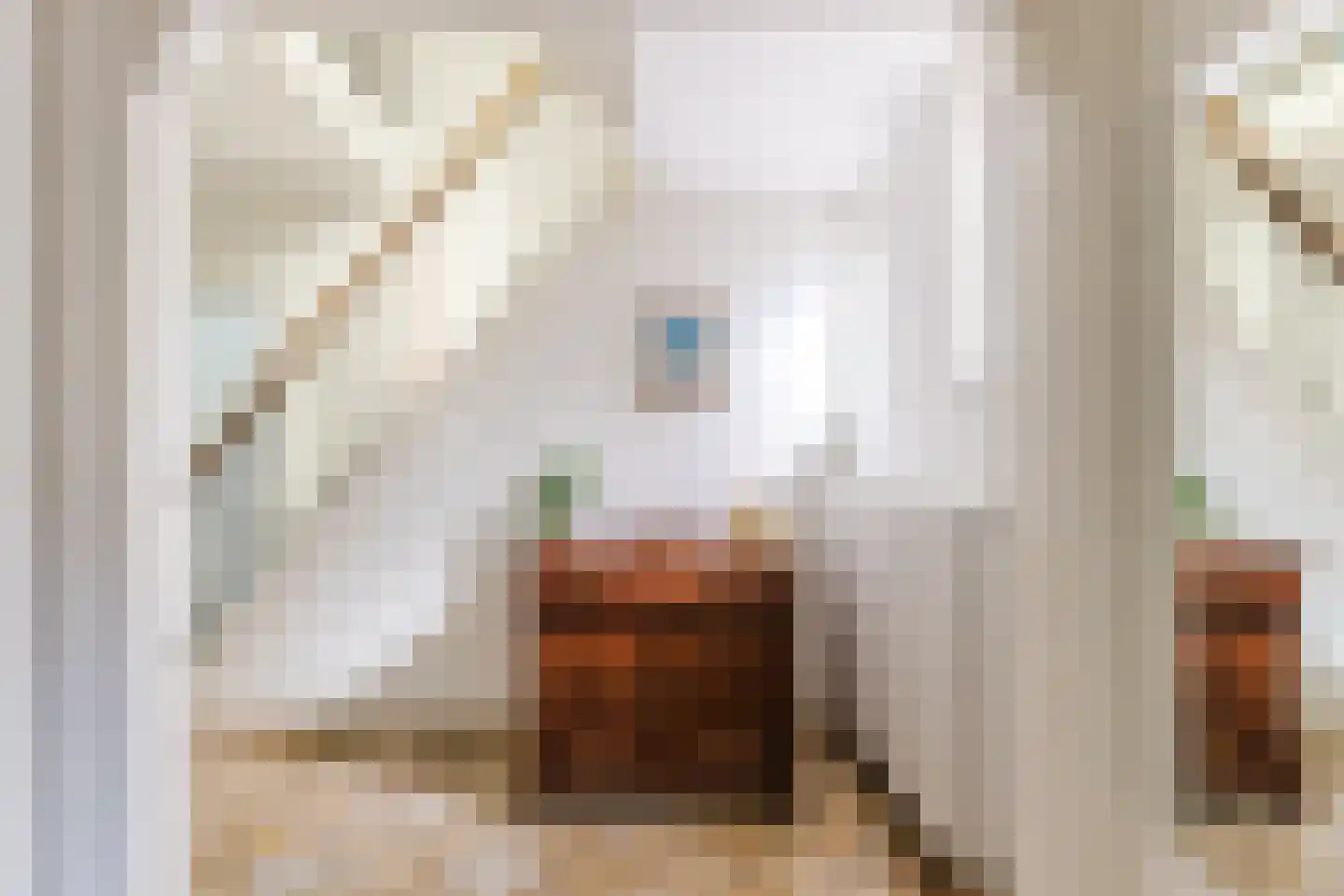 Oranjestraat 8 Gilze thumbnail 10