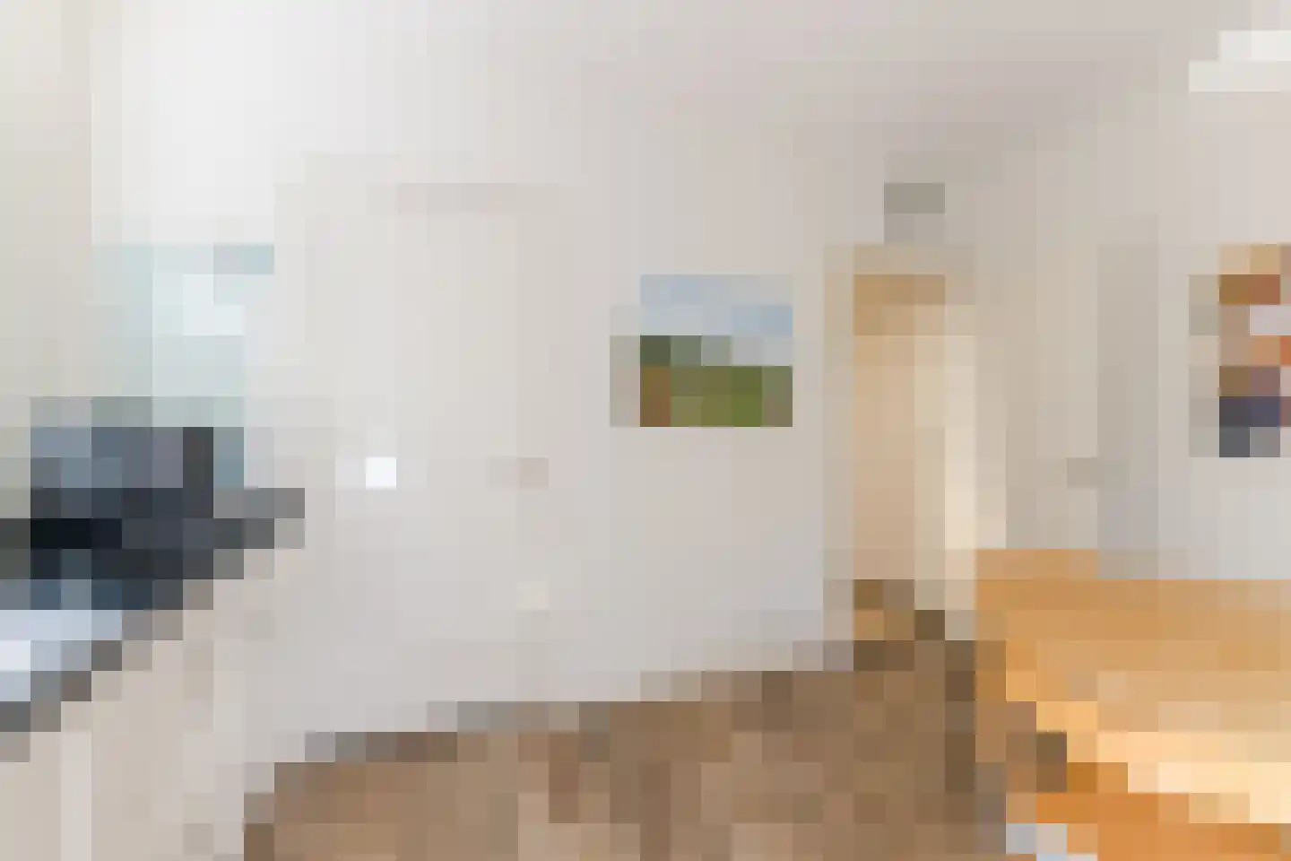 Oranjestraat 8 Gilze thumbnail 21
