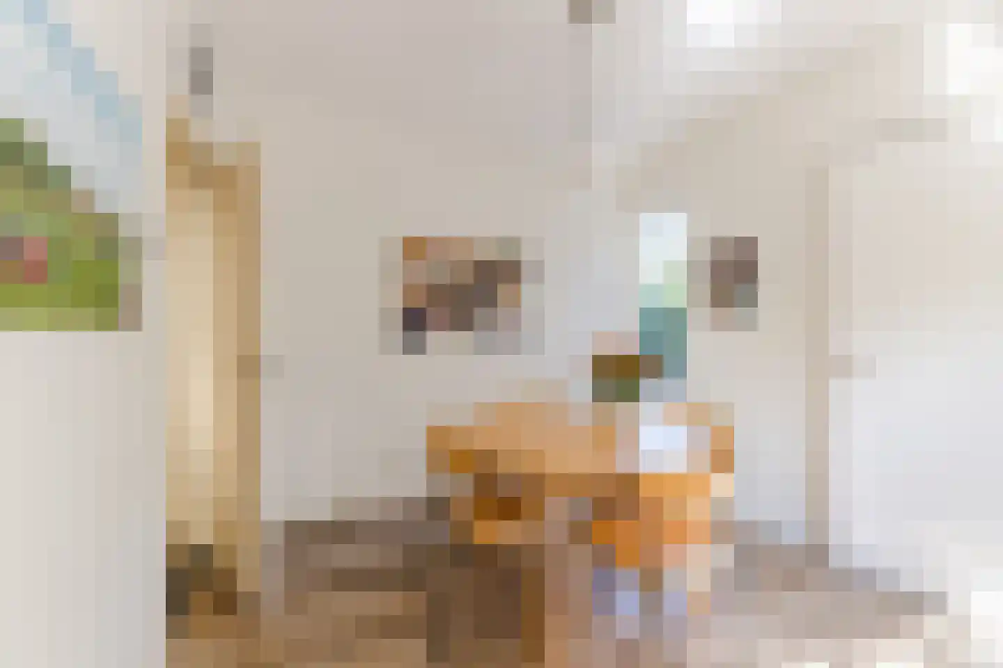 Oranjestraat 8 Gilze thumbnail 22