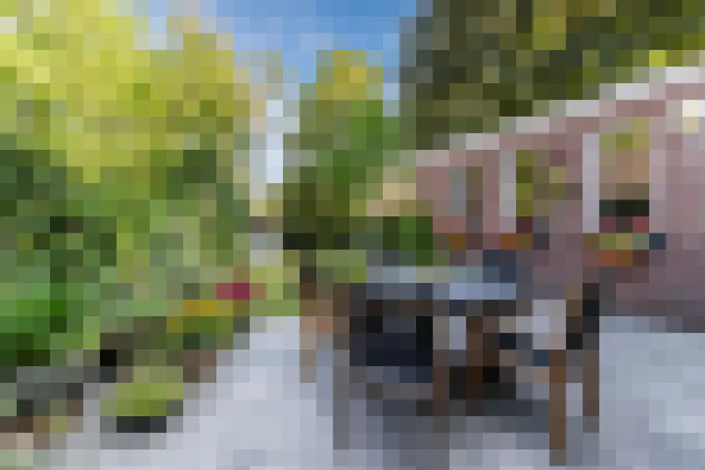 Oranjestraat 8 Gilze thumbnail 26