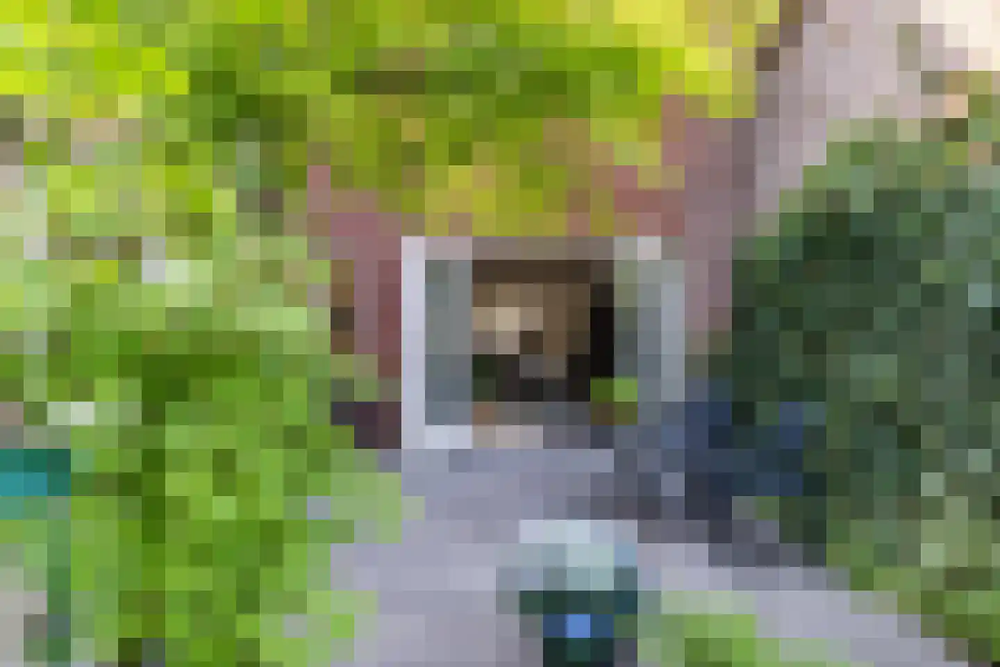 Oranjestraat 8 Gilze thumbnail 31