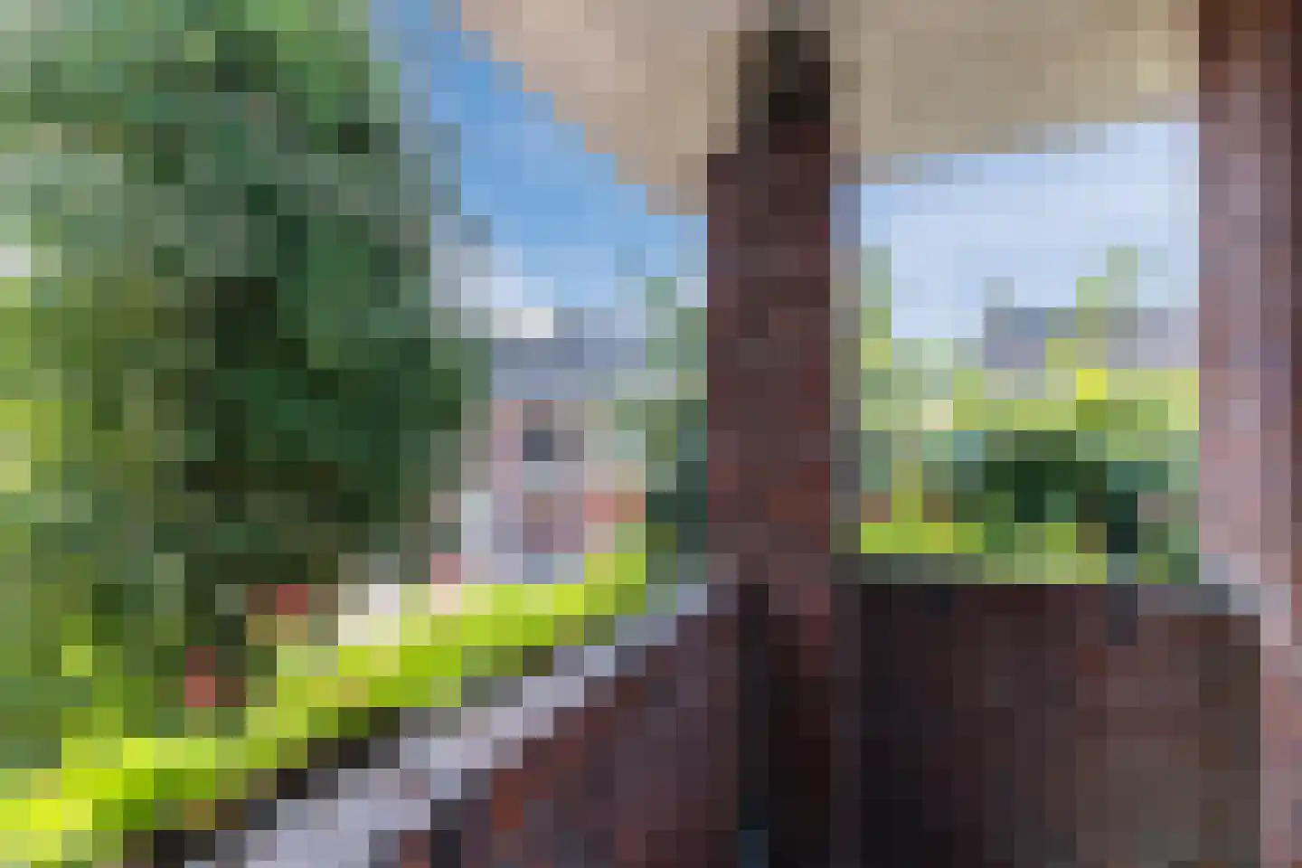 Oranjestraat 8 Gilze thumbnail 45