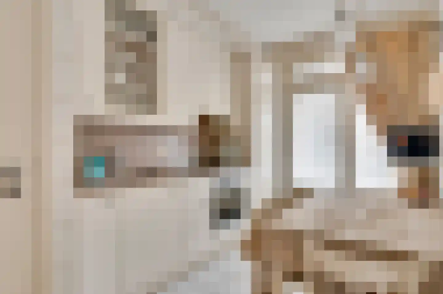 Oranjestraat 8 Nederweert thumbnail 10