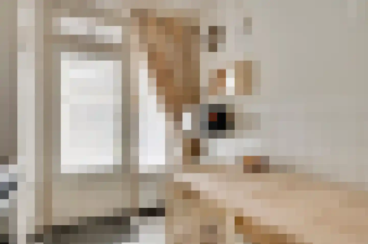 Oranjestraat 8 Nederweert thumbnail 12