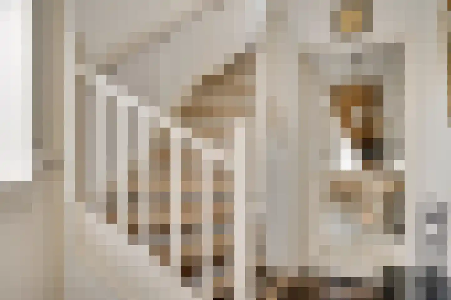 Oranjestraat 8 Nederweert thumbnail 17