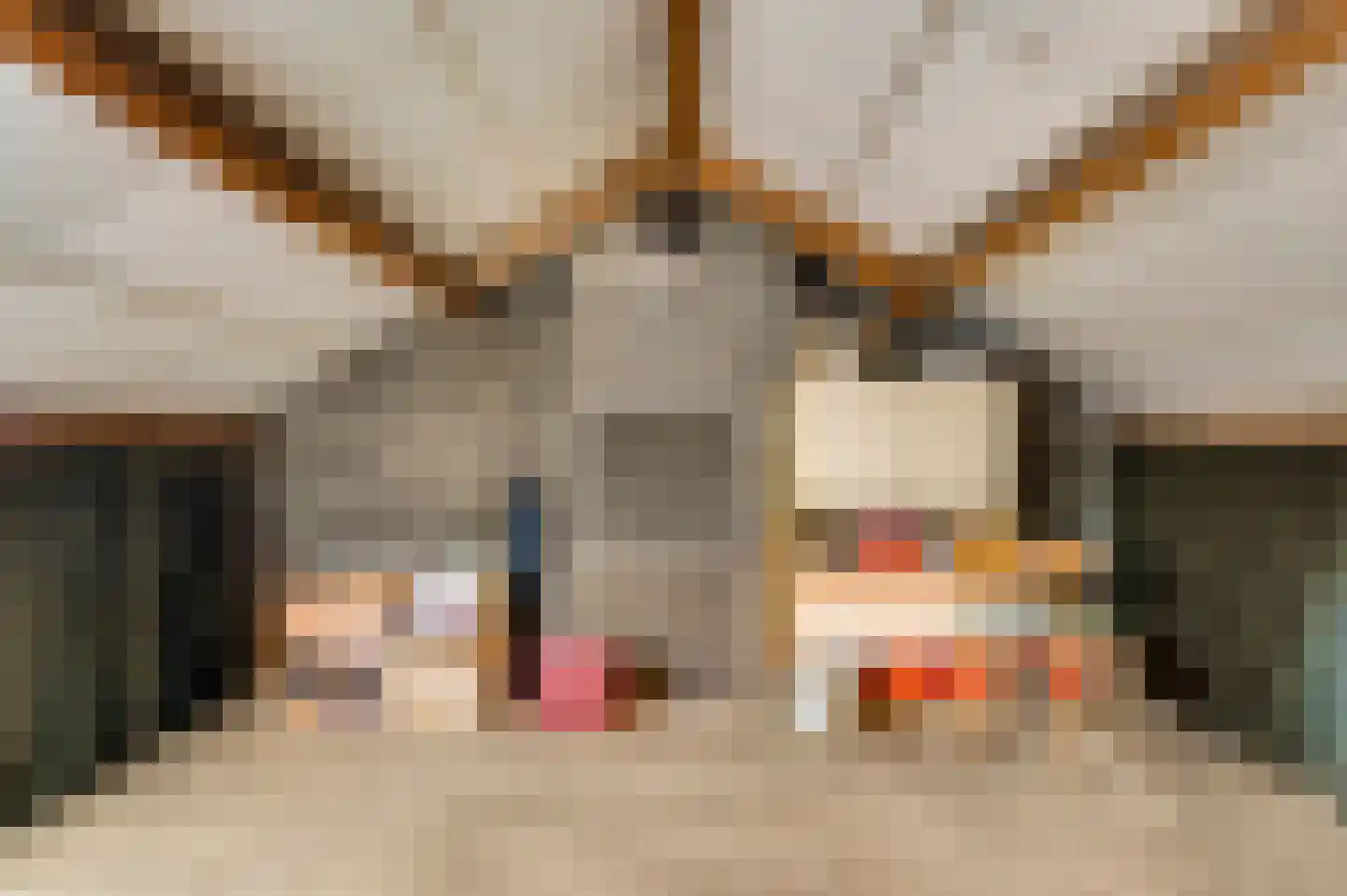 Oranjestraat 8 Nederweert thumbnail 27