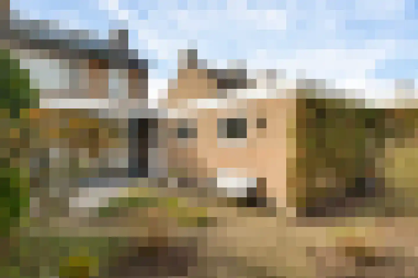 Oranjestraat 8 Nederweert thumbnail 30