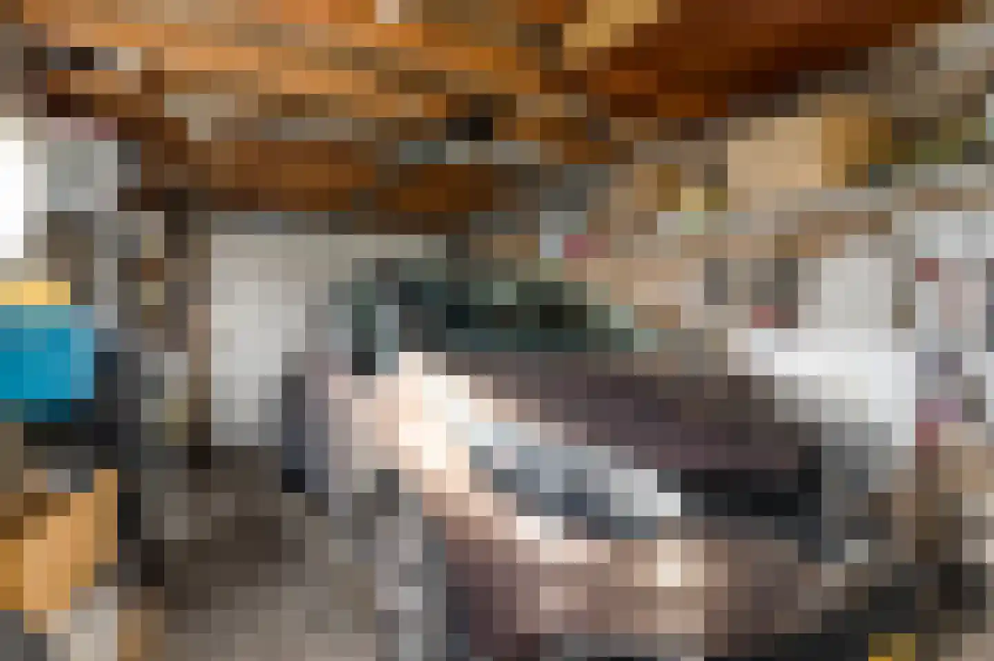 Oranjestraat 8 Nederweert thumbnail 31
