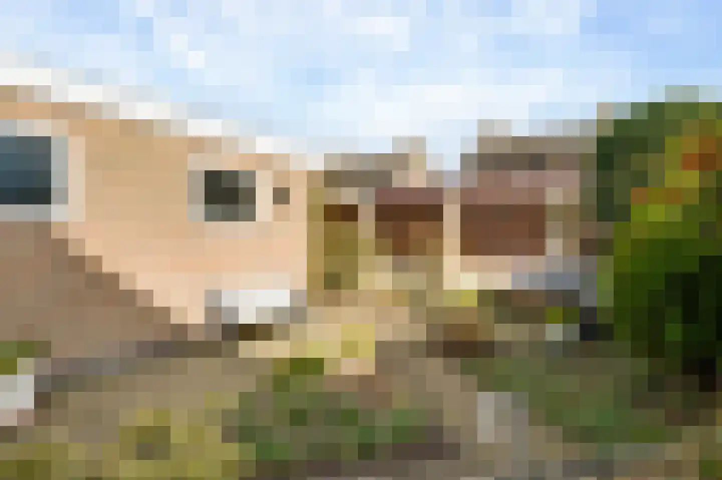 Oranjestraat 8 Nederweert thumbnail 32