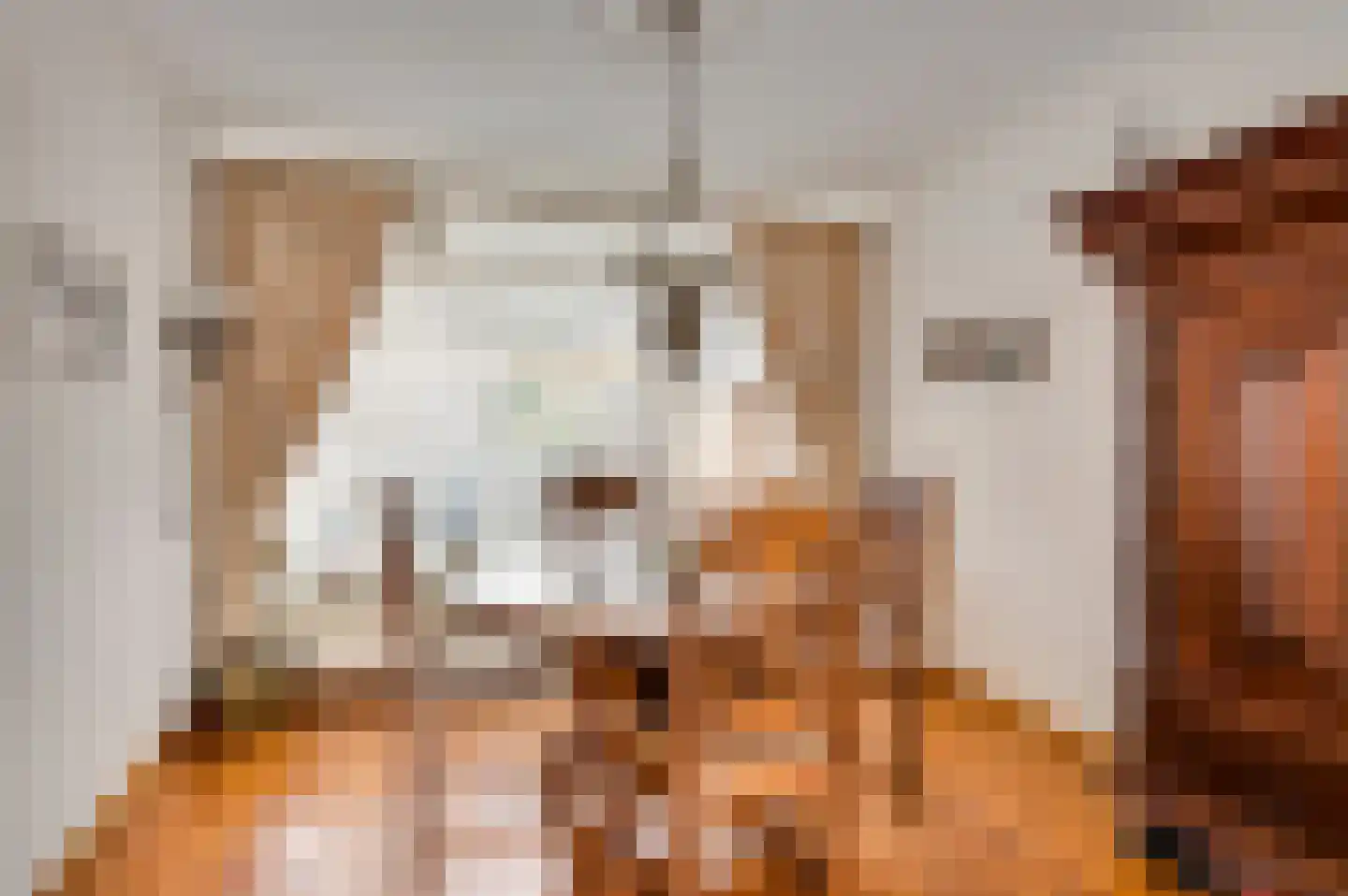 Oranjestraat 8 Nederweert thumbnail 8