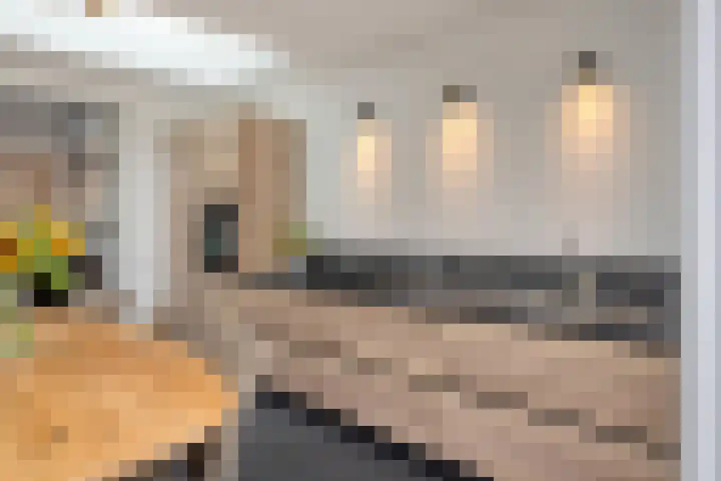 Oranjestraat 8 Oost West en Middelbeers thumbnail 22