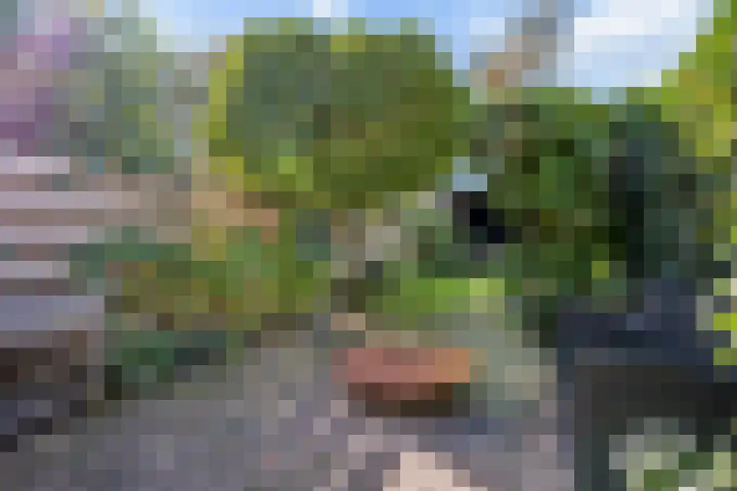 Oranjestraat 83 Elst Ut thumbnail 26