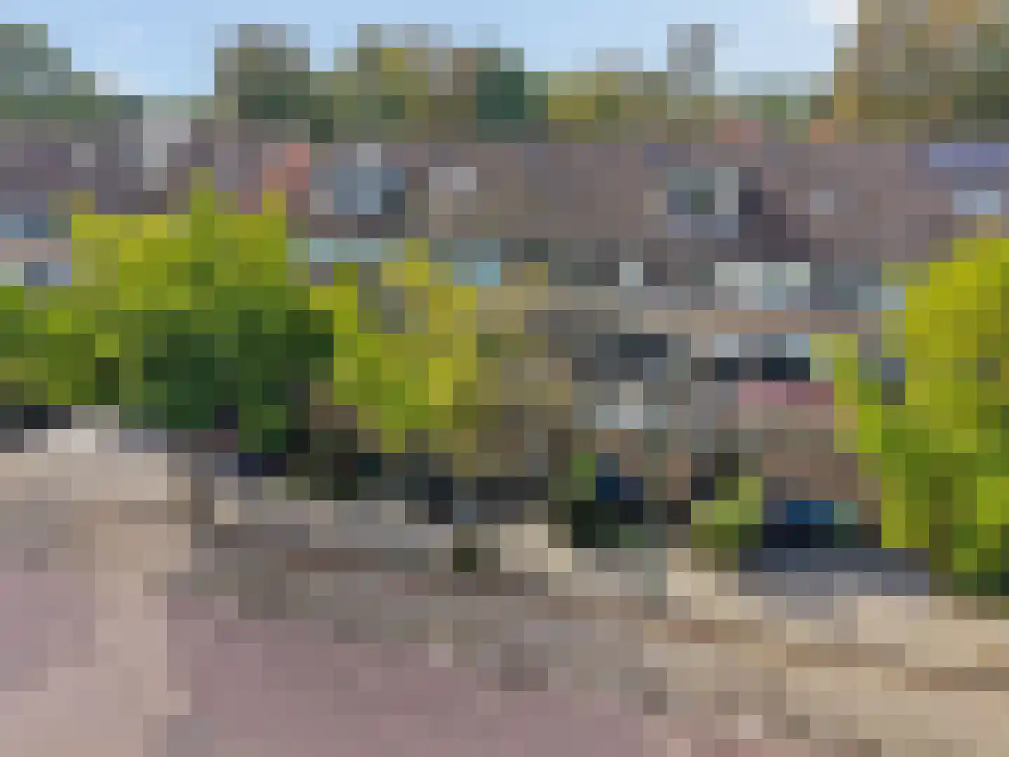 Oranjestraat 83 Elst Ut thumbnail 5