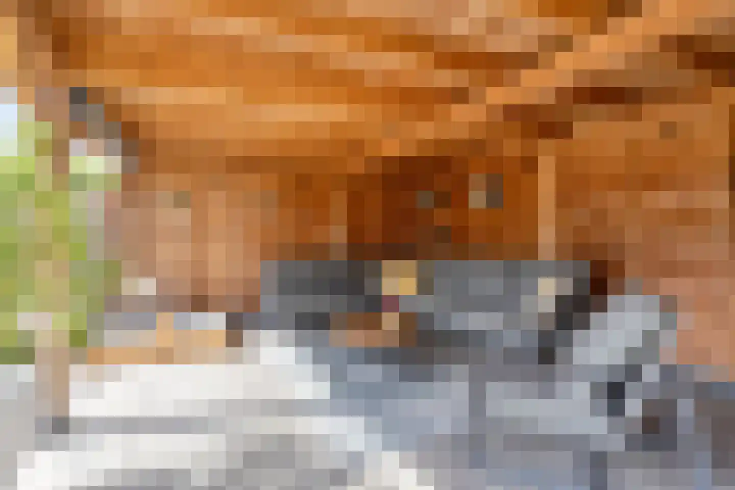 Oranjestraat 84 Varsseveld thumbnail 5