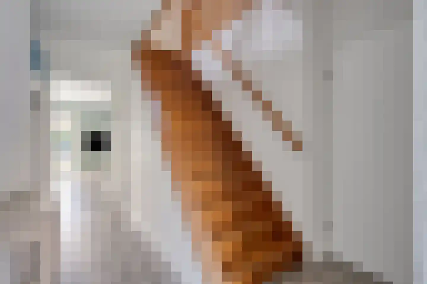 Oranjestraat 84 Varsseveld thumbnail 9