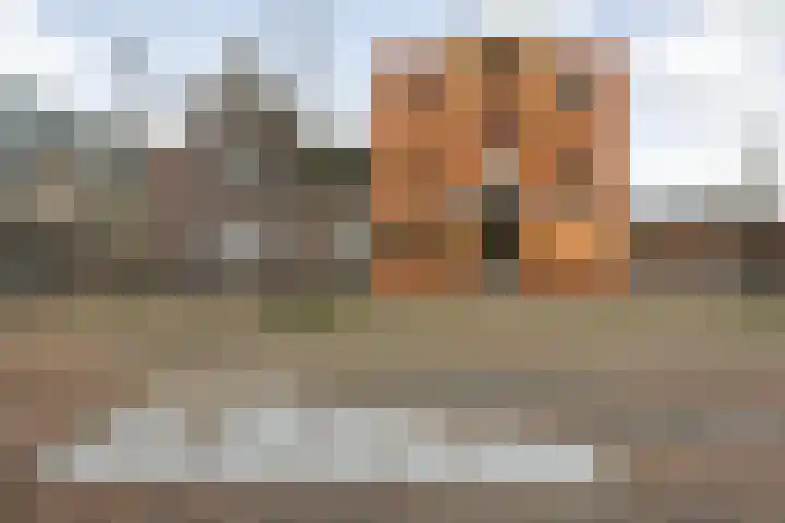 Oranjestraat 88 IJmuiden thumbnail 33